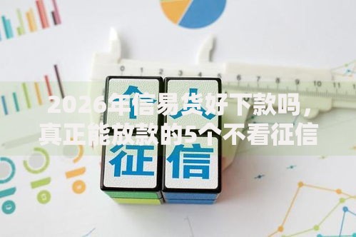 2026年信易货好下款吗，真正能放款的5个不看征信大数据的贷款平台一定能下款推荐