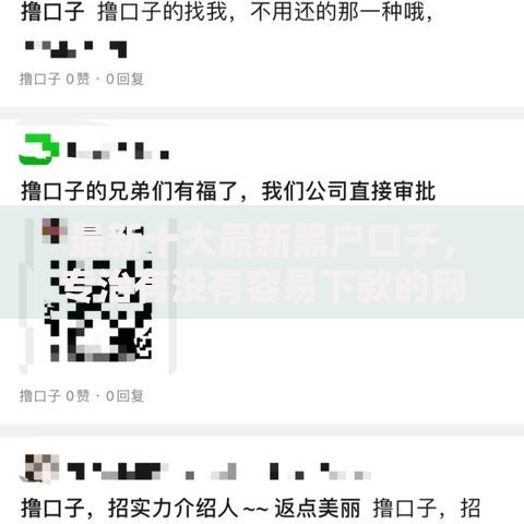 最新十大最新黑户口子，专治有没有容易下款的网贷