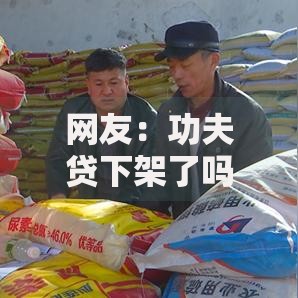 网友：功夫贷下架了吗？求介绍几款未成年人贷款平台