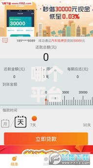 哪个平台借款额度高好下款快一点？2026最新测评10个黑白贷款必过的软件