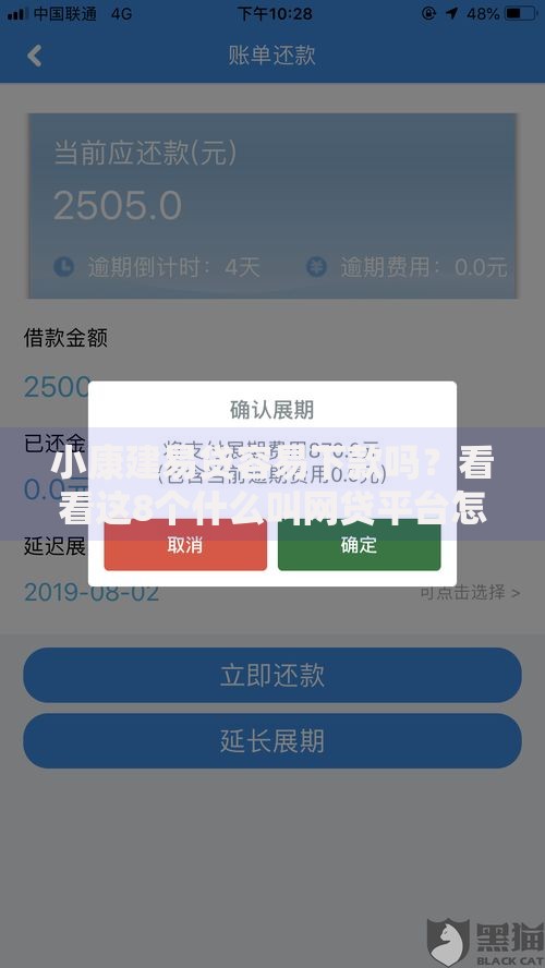 小康建易贷容易下款吗？看看这8个什么叫网贷平台怎么样