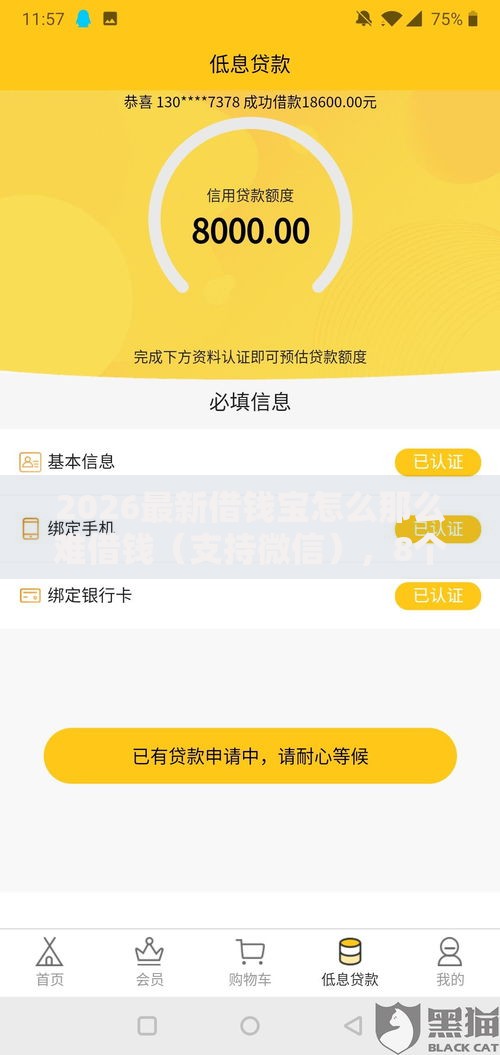 2026最新借钱宝怎么那么难借钱（支持微信），8个网黑全拒能下款的口子无私分享