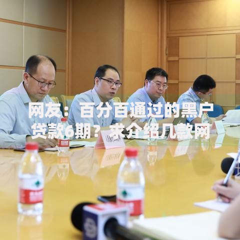 网友：百分百通过的黑户贷款6期？求介绍几款网贷款平台