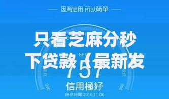 只看芝麻分秒下贷款（最新发布！）9个黑户烂户能过的购物平台