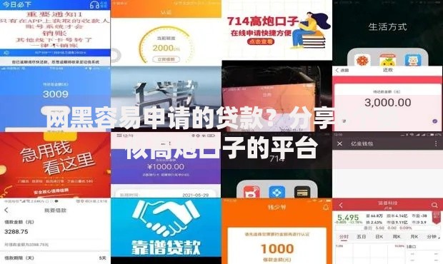 网黑容易申请的贷款？分享6个类似高炮口子的平台