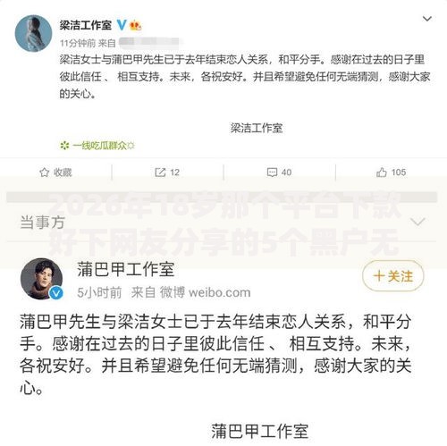 2026年18岁那个平台下款好下网友分享的5个黑户无条件下款的软件我觉得不错！