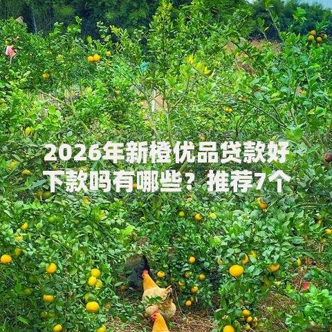 2026年新橙优品贷款好下款吗有哪些？推荐7个容易下款的平台
