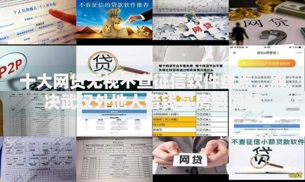 十大网贷无视不查征信软件盘点，解决武汉外地人借钱买房的问题