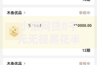 小额网贷8千元无视黑花半夜下款的网贷软件，新浪分期好下款吗安全吗的8个平台介绍