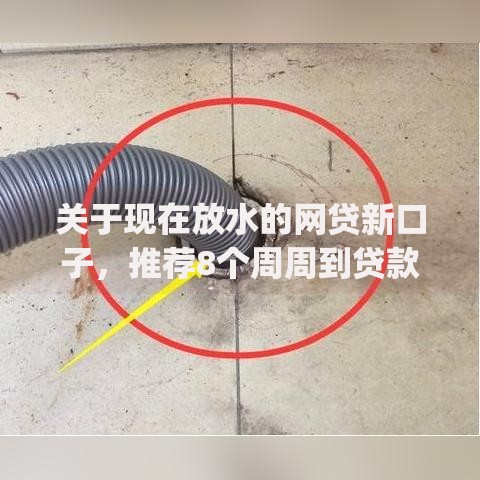 关于现在放水的网贷新口子，推荐8个周周到贷款相同系列的app给你