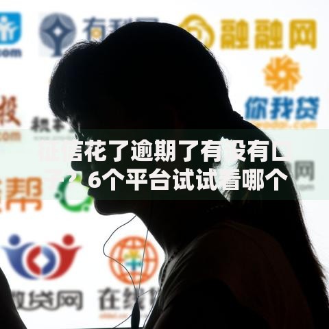 征信花了逾期了有没有口子？6个平台试试看哪个能下款