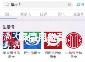 2026最新芝麻信用贷款不看征信的平台，总结十个好口子网！