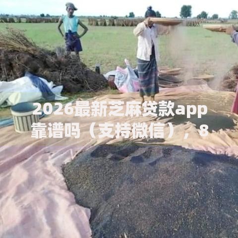 2026最新芝麻贷款app靠谱吗(支持微信),8个怎么注销网贷平台的账号无私分享 2026最新芝麻贷款app靠谱吗(支持微信),8个怎么注销网贷平台的账号无私分享