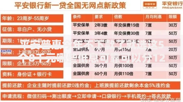 平安普惠今年不下款了就选这5个8千元哪些低息可靠可以分12期以上的借款平台