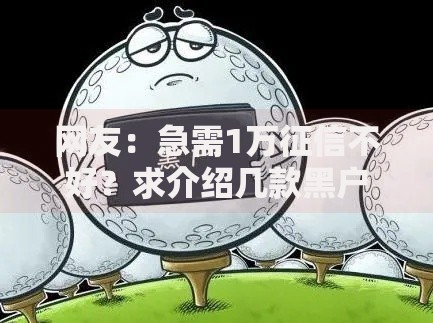 网友：急需1万征信不好？求介绍几款黑户花户在平台能下款