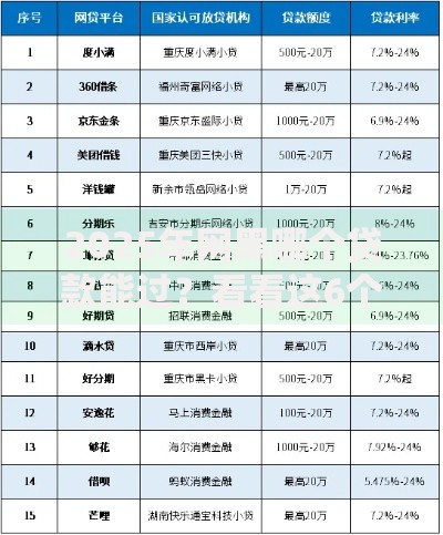 2025年网黑哪个贷款能过？看看这6个网贷最好的平台怎么样
