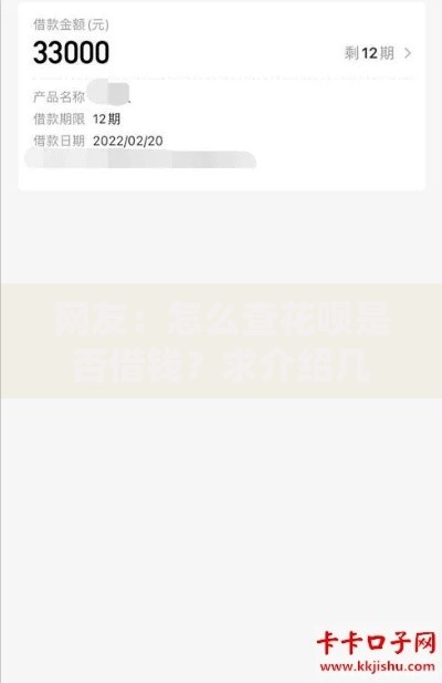 网友：怎么查花呗是否借钱？求介绍几款无视黑白贷款口子