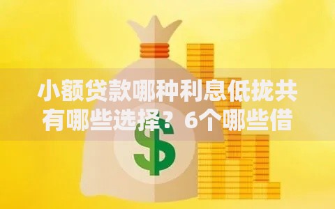 小额贷款哪种利息低拢共有哪些选择？6个哪些借钱平台靠谱详解