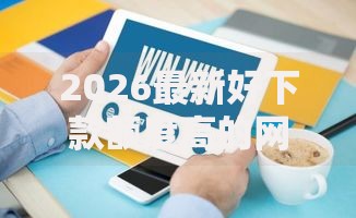 2026最新好下款额度高的网贷公司，总结十个平台贷款好通过！