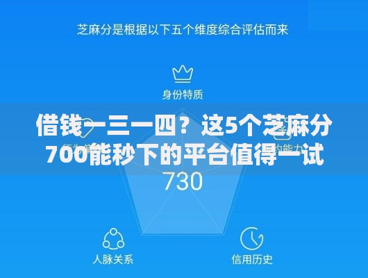 借钱一三一四？这5个芝麻分700能秒下的平台值得一试