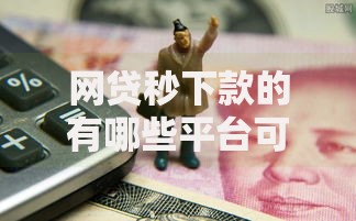 网贷秒下款的有哪些平台可靠？盘点6个大学生能贷款的平台给你参考