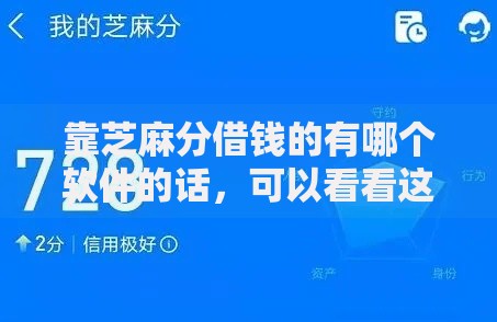 靠芝麻分借钱的有哪个软件的话，可以看看这6个征信花了还能借钱的平台
