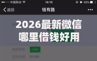 2026最新微信哪里借钱好用一点的，总结十个包下款平台无视黑白！