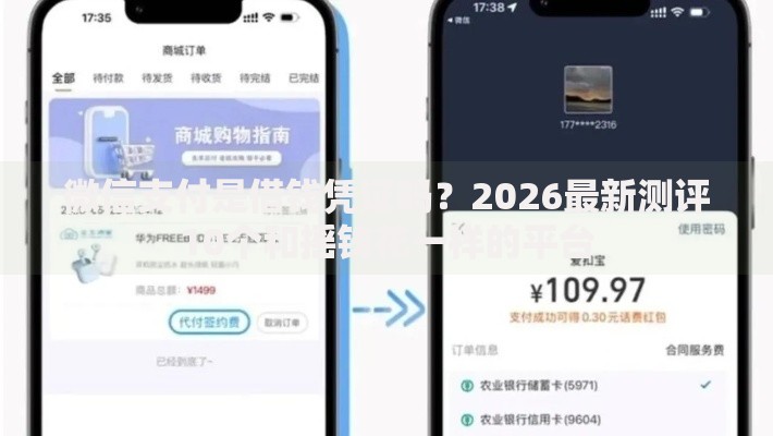 微信支付是借钱凭证吗？2026最新测评10个和摇钱花一样的平台