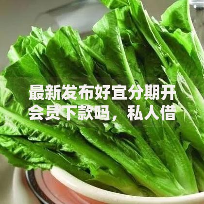 最新发布好宜分期开会员下款吗，私人借钱8千元有这8个渠道