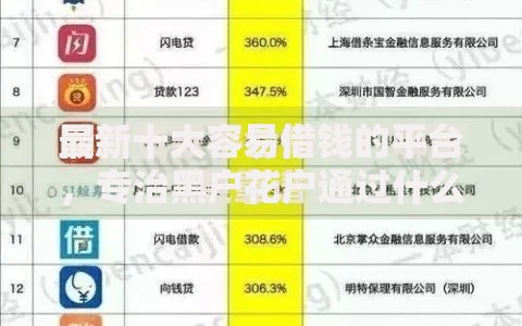 最新十大容易借钱的平台，专治黑户花户通过什么渠道可以贷款