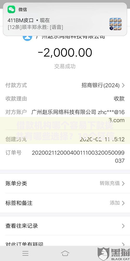 借款机构哪个容易下款拢共有哪些选择？10个征信黑了还有借款平台可以借钱详解