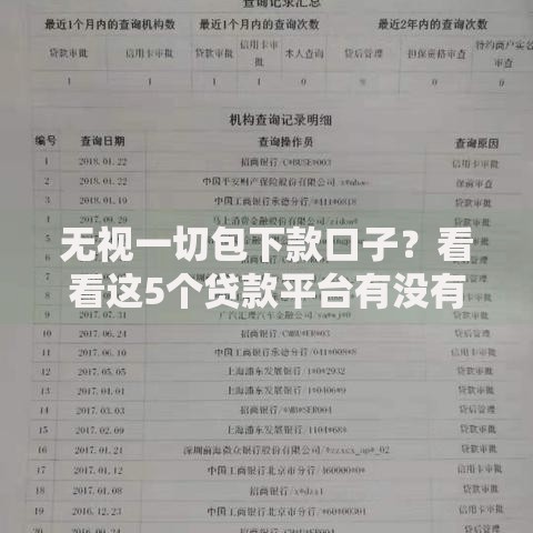 无视一切包下款口子？看看这5个贷款平台有没有能下款的