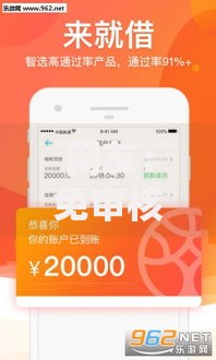 网友：免审核小额贷款？求介绍几款平台黑户能借100元