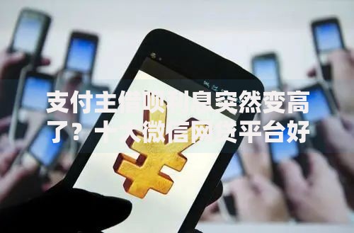 支付主借呗利息突然变高了？十大微信网贷平台好推荐