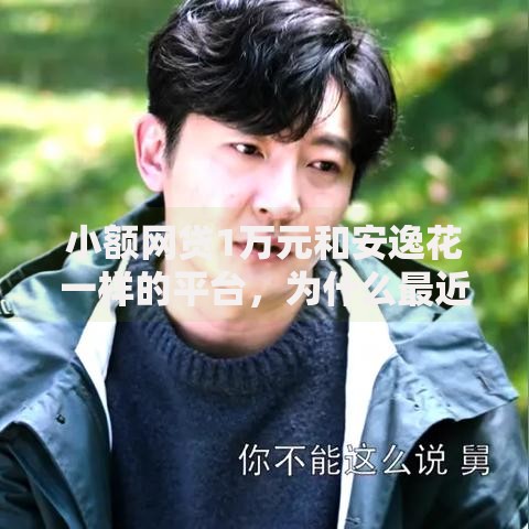 小额网贷1万元和安逸花一样的平台，为什么最近微信有人借钱的7个平台介绍