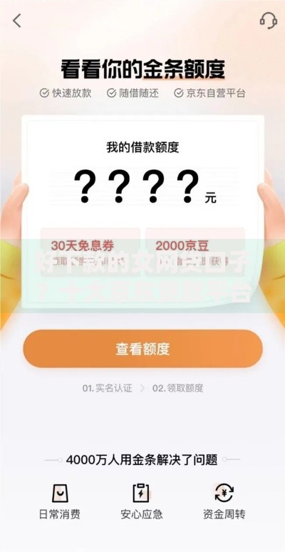 好下款的女网贷口子？十大京东贷款平台推荐
