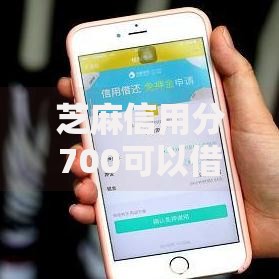 芝麻信用分700可以借款？5个平台试试看哪个能下款
