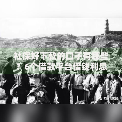 社保好下款的口子有哪些?6个借款平台借钱利息最低推荐给你 社保好下款的口子有哪些?6个借款平台借钱利息最低推荐给你