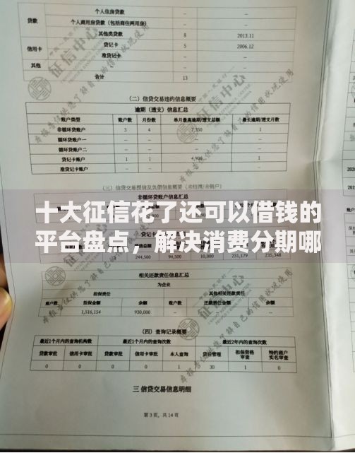 十大征信花了还可以借钱的平台盘点，解决消费分期哪个公司好下款的问题