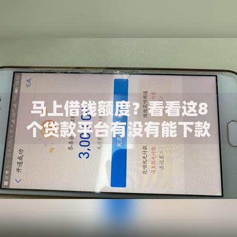 马上借钱额度？看看这8个贷款平台有没有能下款的