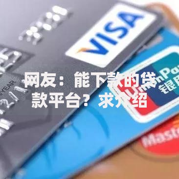 网友：能下款的贷款平台？求介绍几款不上征信记录的贷款平台