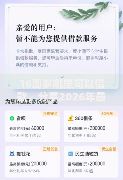 16周岁哪里可以借款，分享2026年最新8个360借钱平台