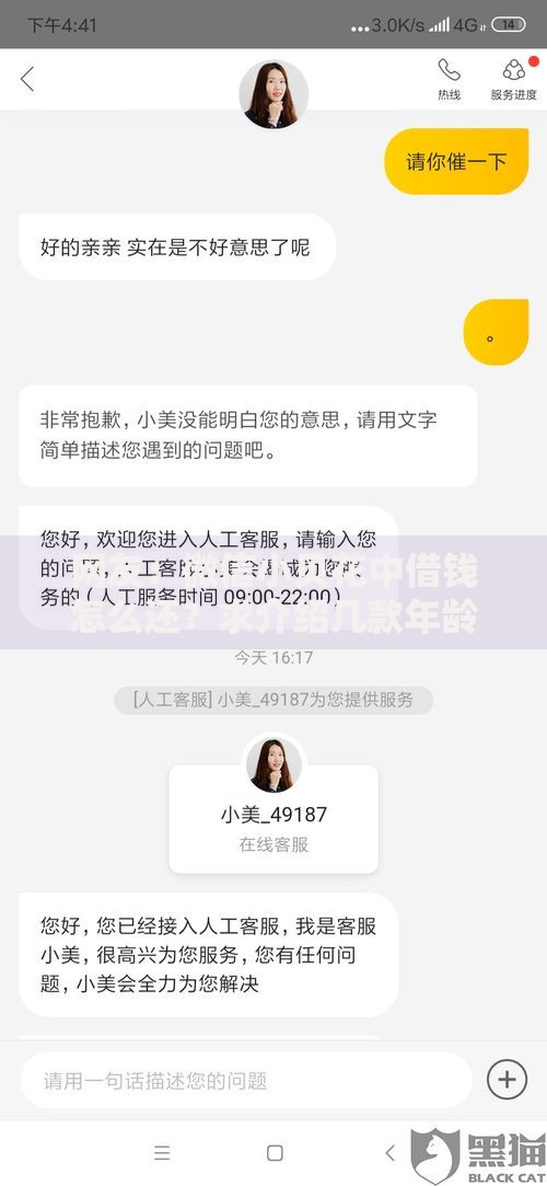 网友：微信小贝花中借钱怎么还？求介绍几款年龄65了可以申请的网贷平台