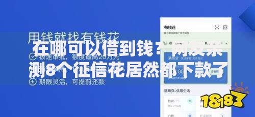 在哪可以借到钱?网友亲测8个征信花居然都下款了的口子盘点 在哪可以借到钱?网友亲测8个征信花居然都下款了的口子盘点