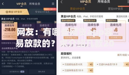 网友：有哪些网贷app容易放款的？求介绍几款2025可以撸的口子