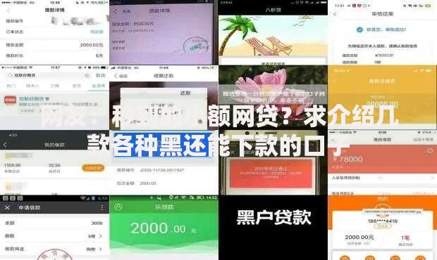 网友：秒到的小额网贷？求介绍几款各种黑还能下款的口子