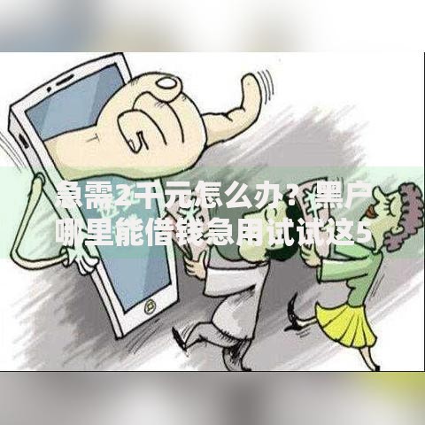 急需2千元怎么办？黑户哪里能借钱急用试试这5个无门槛平台
