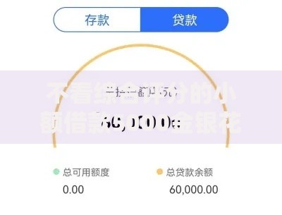 不看综合评分的小额借款5000金银花？2026最新测评10个分期有额度的网贷口子