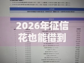 2026年征信花也能借到的网贷?盘点十大靠谱征信花居然都下款了的软件 2026年征信花也能借到的网贷?盘点十大靠谱征信花居然都下款了的软件