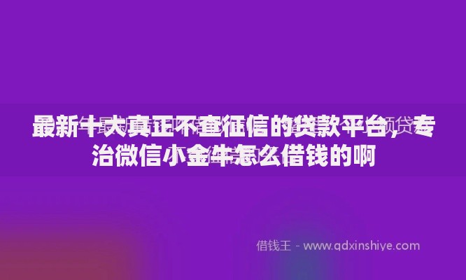 最新十大真正不查征信的贷款平台，专治微信小金牛怎么借钱的啊